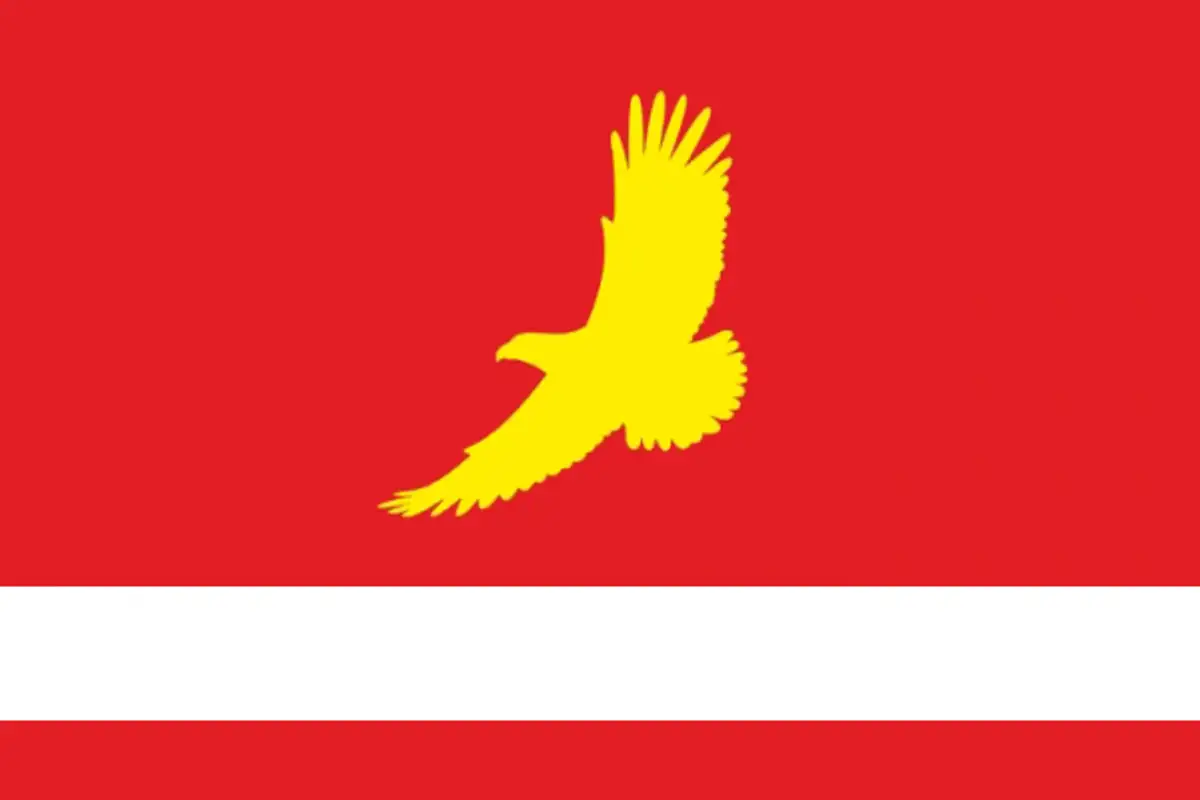 Флаг: Большемуртинский район